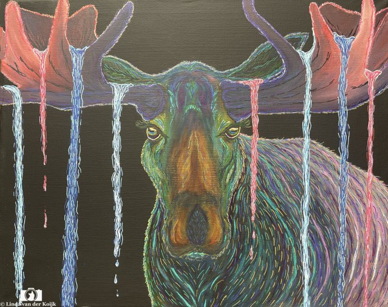 Moose on the Loose Acryl on Canvas 50 x 40