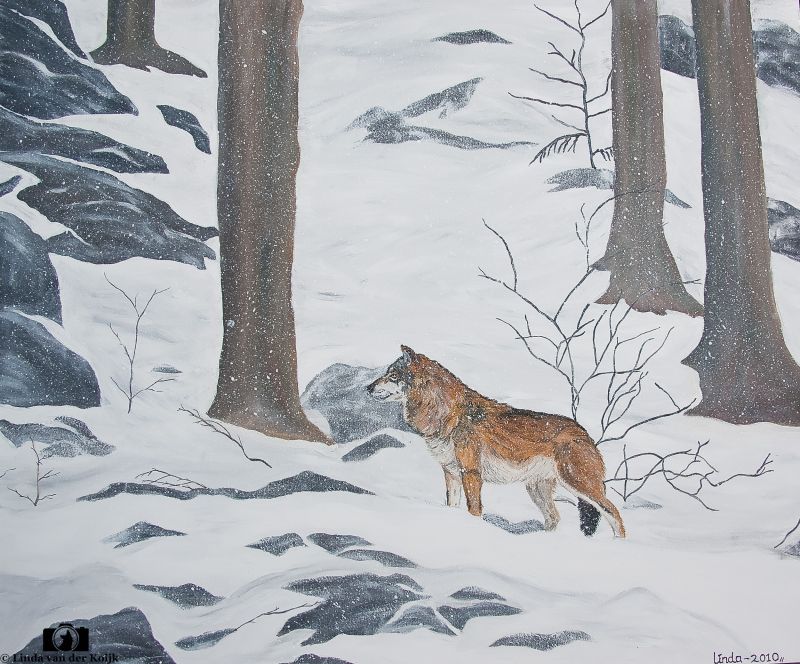 Snowy Wolf Acryl on Canvas 120 x 100 (Sold)