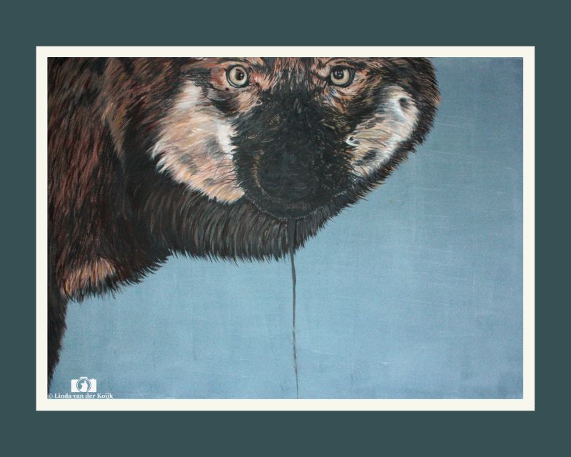 Drooling Wolf Acryl on Canvas 90 x 70