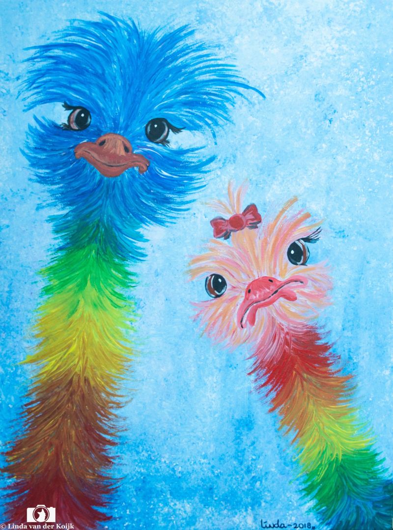 Struisvogel Vriendjes Acryl on Canvas 60 x 80