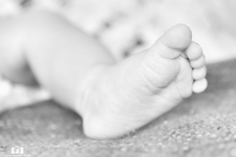 Baby 14