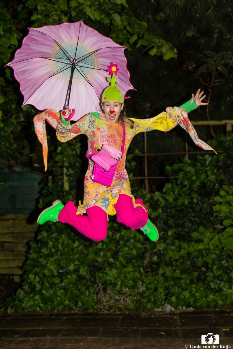 Clowns 24