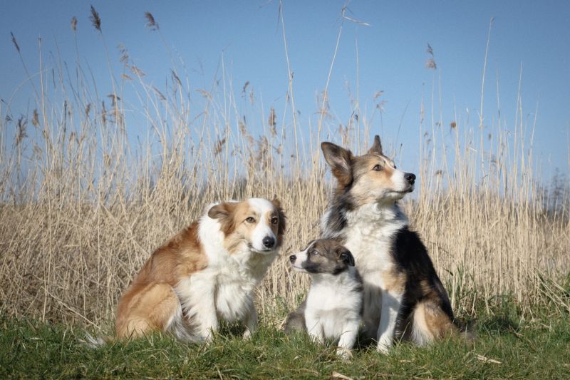 The Gang!