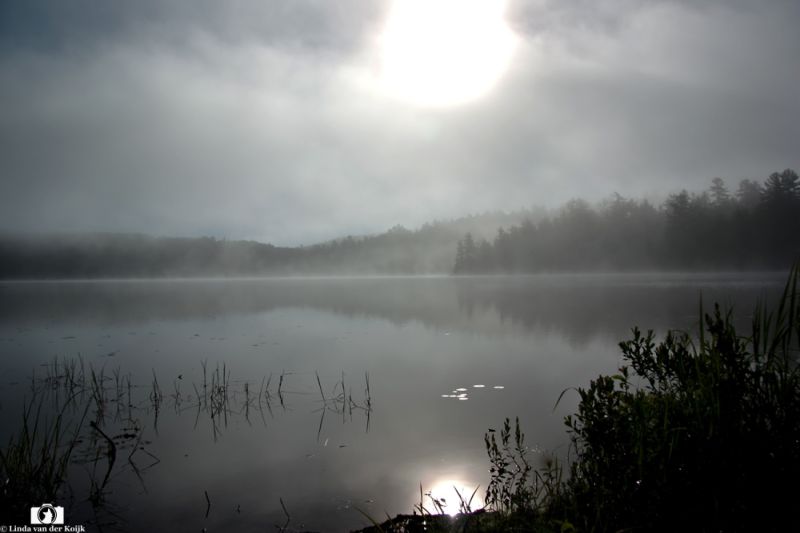 Algonquin Provincial Park 3
