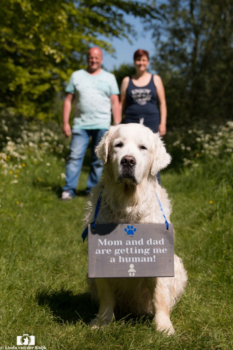 Samen 06