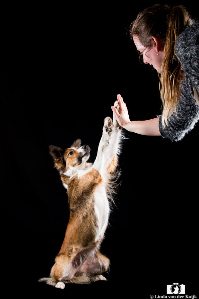 Samen 08