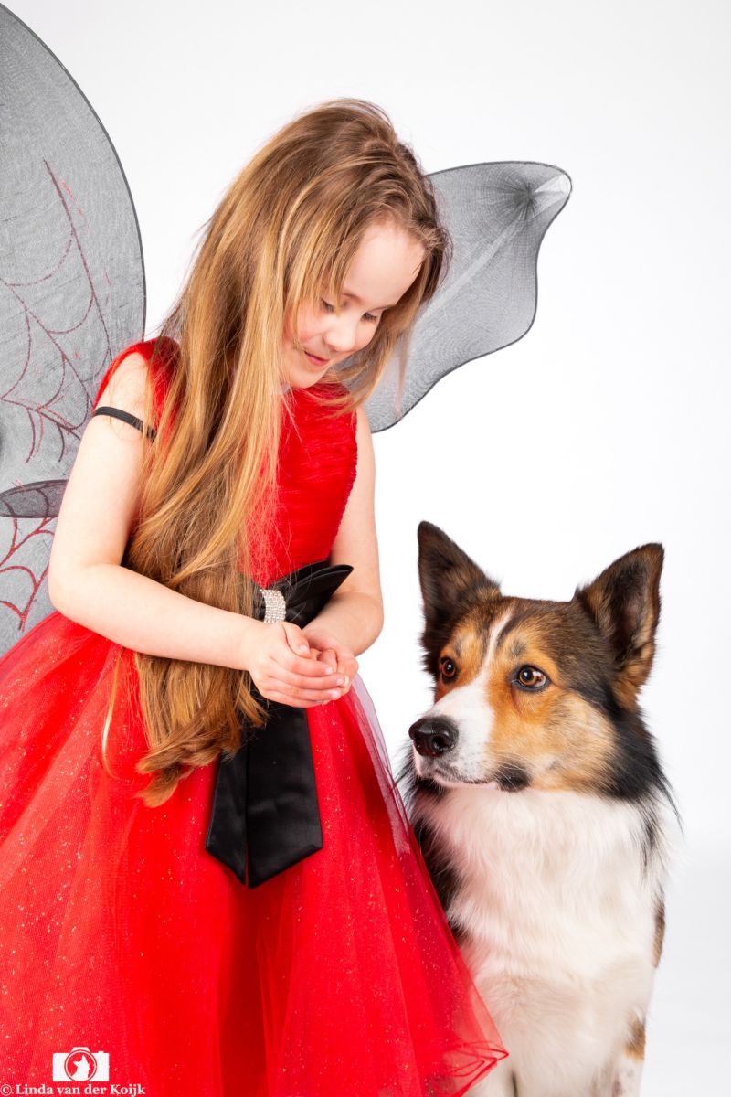 Samen 11