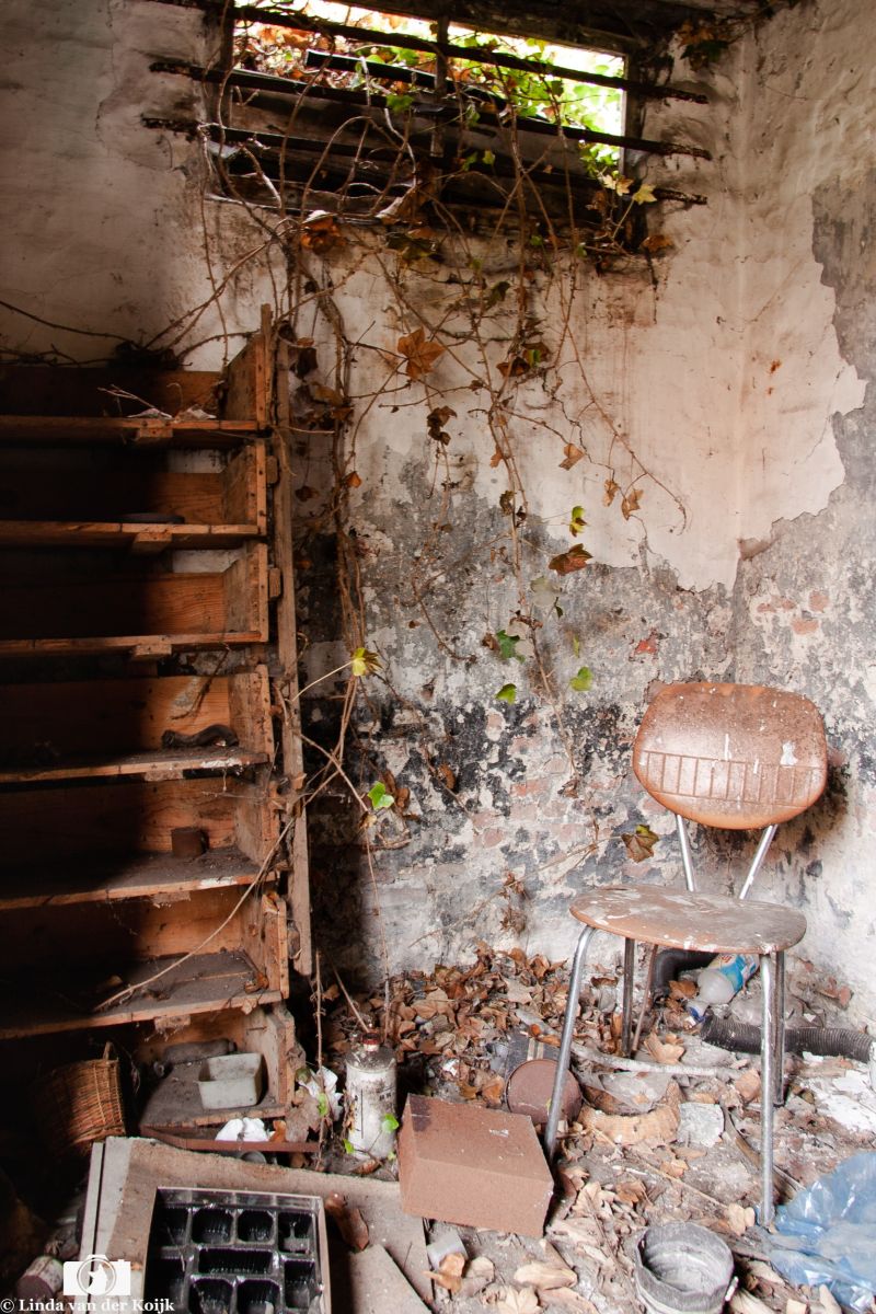 Urbex 1 50